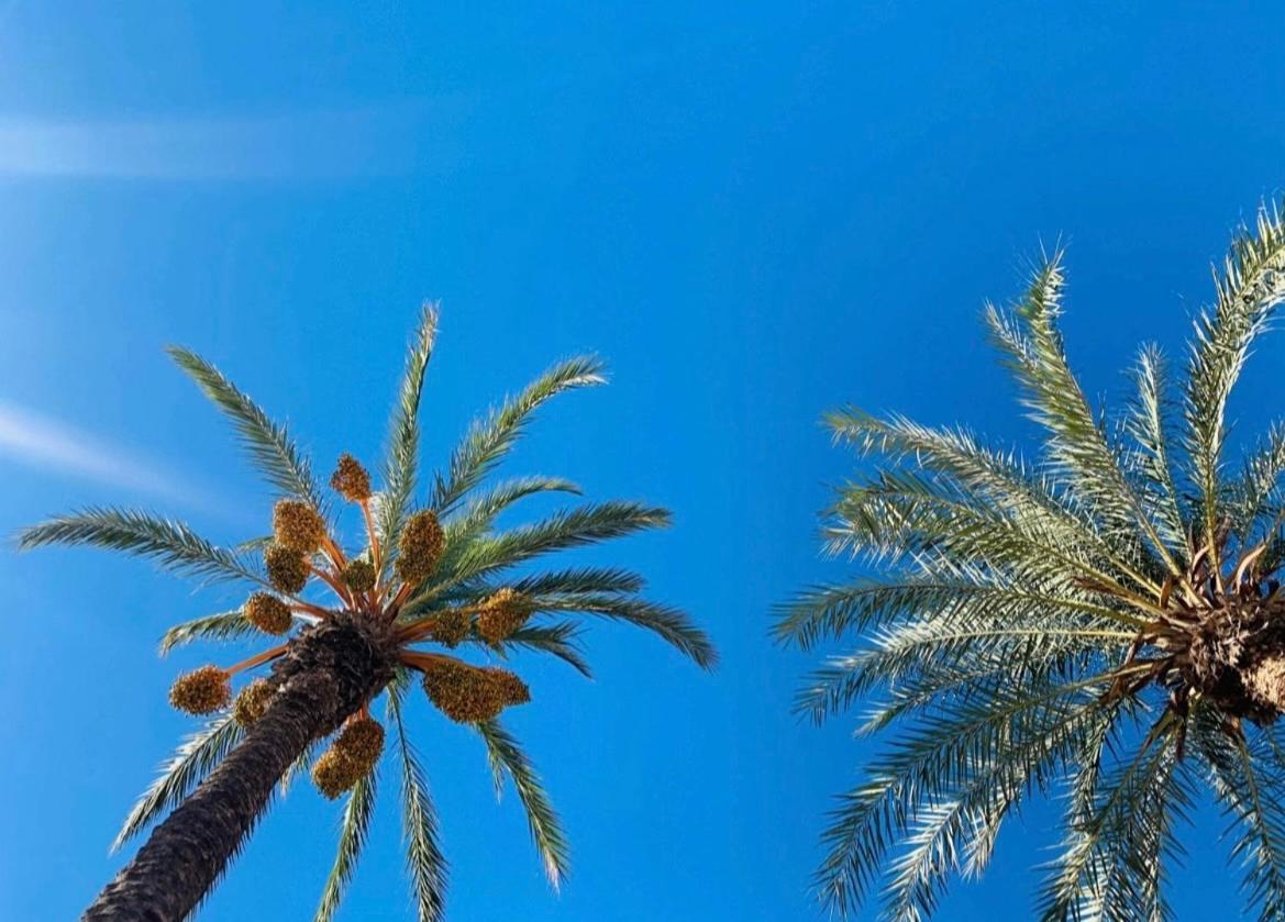 托雷维耶哈La Margarita公寓 外观 照片